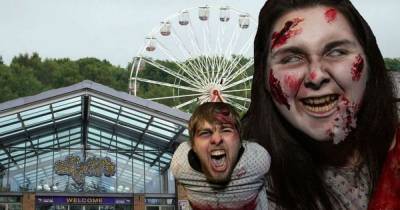 M&D's Theme Park brings new outdoor horror maze to spine-tingling Darktober season - www.dailyrecord.co.uk