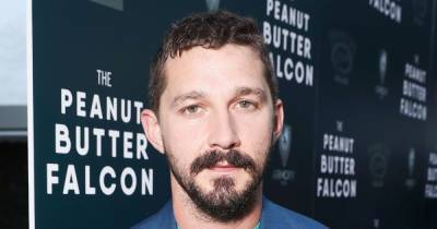 Shia LaBeouf Charged With Petty Theft and Battery After Summer Incident - www.usmagazine.com - Los Angeles