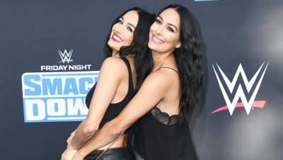Nikki Brie Bella Show Off Au Naturel Baby Bumps With Cute Paintings In Throwback Pregnancy Pic - hollywoodlife.com