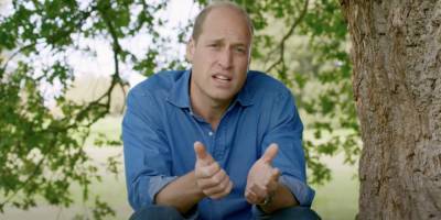 Prince William Encourages People Around the World to "Repair Our Planet" in Impassioned TED Talk - www.harpersbazaar.com