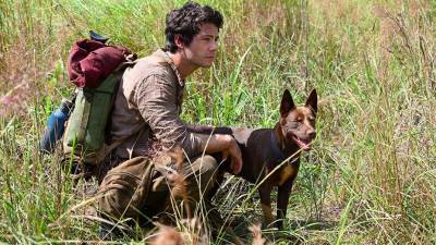 ‘Love And Monsters’: Dylan O’Brien Says The Apocalypse Is The Best Setting For A Coming Of Age Story – New York Comic Con - deadline.com - New York - New York - county Story