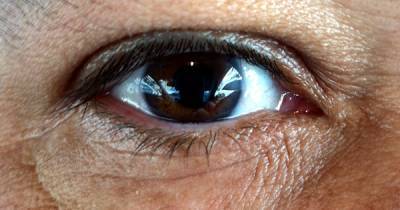 Thousands denied cure for blindness due to ban on tissue donation from gay men - www.losangelesblade.com - USA - Washington