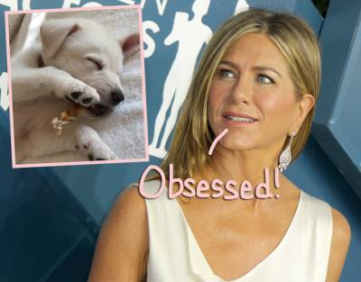 Jennifer Aniston’s New Puppy Is The Cutest Thing EVER! - perezhilton.com
