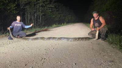 Florida hunters capture record breaking 18-foot Burmese python - www.foxnews.com - Florida - Burma