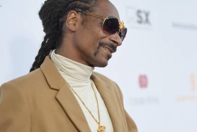 Snoop Dogg Encourages Voters to ‘Drop It in the Box’ in New Remix (Video) - thewrap.com - USA