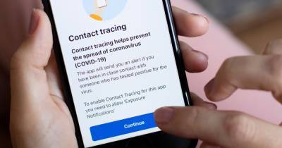 What to do if you get 'someone you were near reported having COVID-19' alert on NHS Covid app - www.manchestereveningnews.co.uk