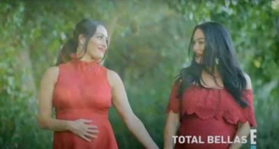 Total Bellas season 6: Nikki & Brie Bella give insight into the twin’s mid pandemic pregnancy; Watch - www.pinkvilla.com