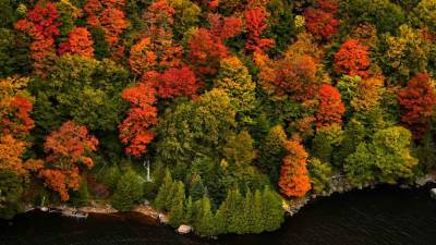 Fall foliage in New England impacted by 'extreme drought,' recent storms - www.foxnews.com - state Massachusets - state New Hampshire - state Connecticut - state Rhode Island - state Maine