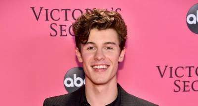 Shawn Mendes’ Netflix documentary In Wonder to be a portrait of singer‘s life and his journey - www.pinkvilla.com - Japan