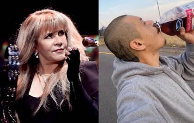 Stevie Nicks uploads her own ‘Dreams’ TikTok featuring rollerskates and cranberry juice - www.nme.com