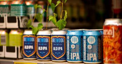 Aldi launches BrewDog's 'ALD IPA' - and it'll be in stores from tomorrow - www.dailyrecord.co.uk