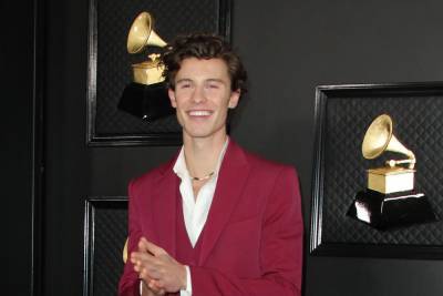 Shawn Mendes documentary set for Netflix - www.hollywood.com