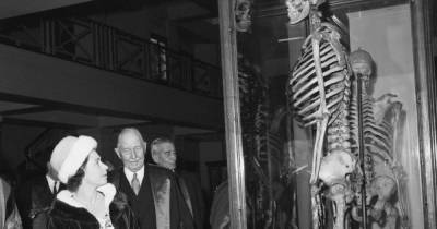 Hilary Mantel calls for skeleton of Irish 'giant' to be repatriated - www.msn.com - Ireland