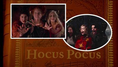 Hocus Pocus Cast: Where Are They Now? - perezhilton.com - state Massachusets - city Sanderson