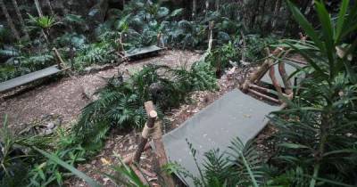 I'm a Celebrity set to introduce additional new theme - this is what is expected - www.msn.com - Australia