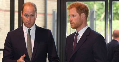 Prince Harry 'exploded' during 'showdown' with William about Meghan Markle's Vogue cover - www.dailyrecord.co.uk