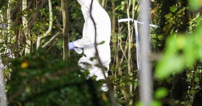 Forensics pictured at a park in Gorton as police search for missing person - www.manchestereveningnews.co.uk