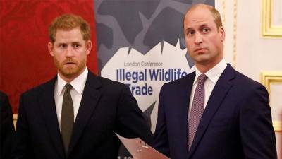 Prince William refused to attend lunch with Prince Harry amid ‘Megxit,’ royal expert claims - www.foxnews.com - Britain