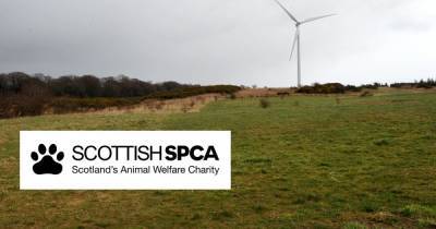 SSPCA issue appeal to Rutherglen dog walkers after second pet poisoned in the area - www.dailyrecord.co.uk - Scotland