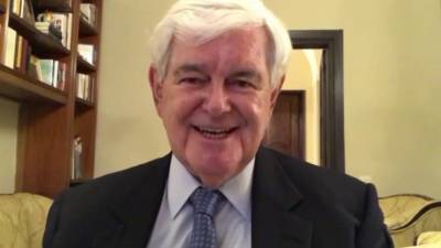 Newt Gingrich: Democrats prove they are the 'Lion King' Party now – Here's what I mean by that - www.foxnews.com - city Portland