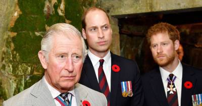 Why Prince Charles Might Be Able to Convince Prince William and Prince Harry to Reconcile - www.usmagazine.com