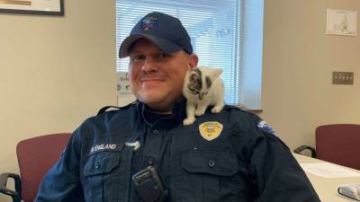 Stray kitten at airport named Boeing, adopted by safety officer - www.foxnews.com - city Louisville
