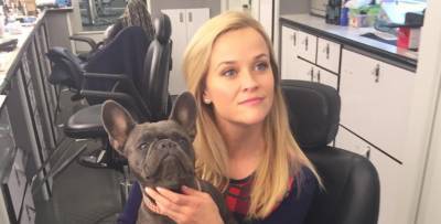 Reese Witherspoon & Family Mourn Death of Beloved Dog Pepper - www.justjared.com - France
