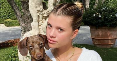 Sofia Richie Stuns in a $40 Cream Set by PrettyLittleThing While Posing With Her Adorable Dog - www.usmagazine.com