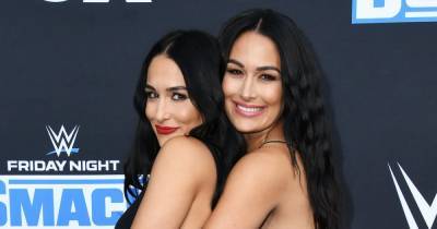 Nikki and Brie Bella Are Moving to Napa Valley Together: ‘We Just Wanna Get Down and Dirty With the Vineyards’ - www.usmagazine.com - California - county Valley - Arizona - county Napa