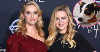Reese Witherspoon’s Daughter Ava Phillippe Introduces New Pup Benji After Mourning Family Dog Pepper: So ‘Bittersweet’ - www.usmagazine.com - France