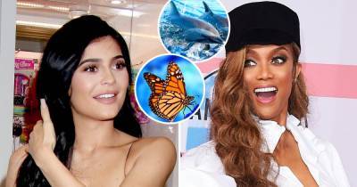 Celebrities’ Biggest Phobias: Kylie Jenner, Tyra Banks and More - www.usmagazine.com - county Bullock