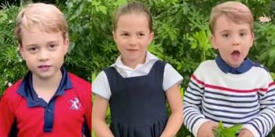Kate Middleton - prince Louis - princess Charlotte - David Attenborough - Will Middleton - Prince William and Kate Middleton Share Rare Video of the Cambridge Kids Speaking on Twitter - marieclaire.com