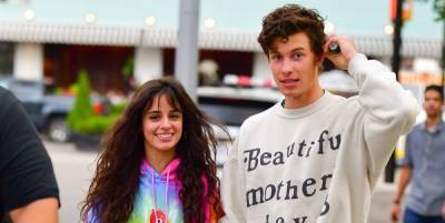 Shawn Mendes on How Quarantining With Camila Cabello Changed Their Relationship: 'We've Kind of Become One' - www.elle.com