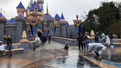 At least a quarter of Disney layoffs coming from Florida - abcnews.go.com - Florida