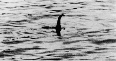 Loch Ness Monster 'caught on sonar' by tour boat 500ft below surface of water - www.dailyrecord.co.uk