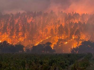 California’s Largest Blaze Ever, The August Complex Fire, Has Now Scorched Over 1 Million Acres - deadline.com - California