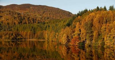 Weather in Scotland could bring spectacular display of autumn colours this year - www.dailyrecord.co.uk - Scotland