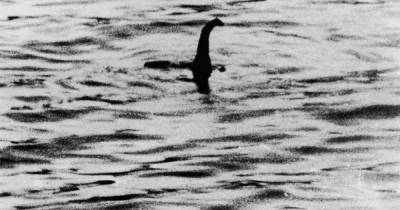 Odds on Loch Ness Monster being found slashed by Paddy Power after sonar image 'sighting' - www.dailyrecord.co.uk
