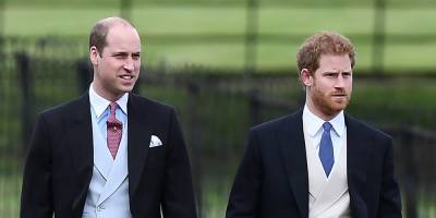 Prince William and Prince Harry's Royal Feud Comes from "So Much Pain and Trauma" - www.cosmopolitan.com