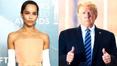 Zoë Kravitz Drags ‘Disgusting’ Donald Trump During Fiery Clapback At Fan: ‘I Don’t Like White Supremacists’ - hollywoodlife.com