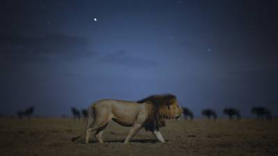 Apple TV+ Lands Natural History Series ‘Earthsound’ From Offspring Films - deadline.com - Britain