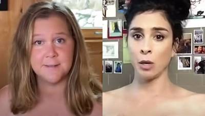 Sarah Silverman, Amy Schumer More Stars Strip Down To Inspire You To Vote ASAP — Watch - hollywoodlife.com