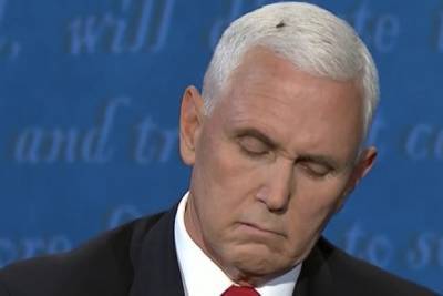 A Fly Landed on Mike Pence During the Debate and People Are Freaking Out (Video) - thewrap.com