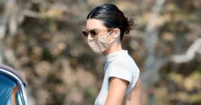 Kendall Jenner Shows Off Some Skin While Out on a Drive in Vintage Cadillac - www.justjared.com - Malibu