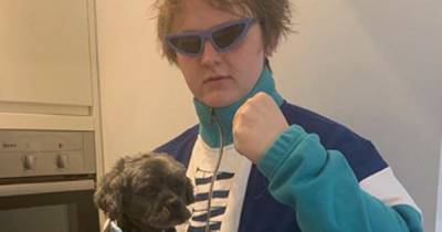 Lewis Capaldi named dogs’ favourite singer following heart rate research - www.dailyrecord.co.uk - Britain - Scotland