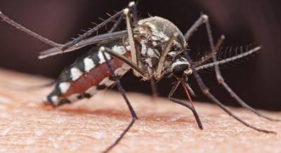 Illinois reports first West Nile virus death of the year in Chicago resident - www.foxnews.com - Chicago - Illinois
