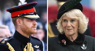 prince Harry - Camilla Parker-Bowles - Prince Harry "replaced" by Camilla after being snubbed! - newidea.com.au - London