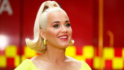Katy Perry slammed for telling fans to reach out to Trump-supporting family members after election - www.foxnews.com