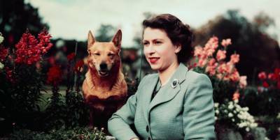Everything You Need to Know About Queen Elizabeth's Corgis - www.cosmopolitan.com