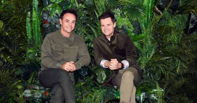 Ant and Dec to take regular Covid tests as part of 'I'm A Celeb' coronavirus management plan - www.msn.com